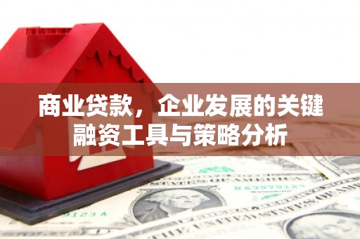德保商业贷款，企业发展的关键融资工具与策略分析