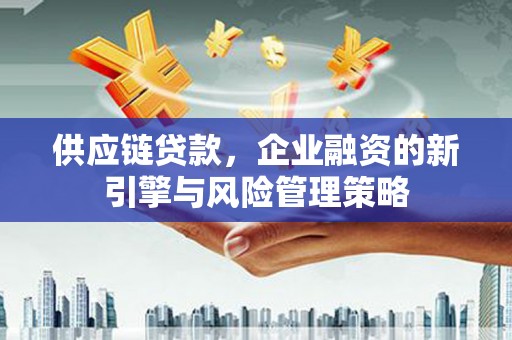 德保供应链贷款，企业融资的新引擎与风险管理策略