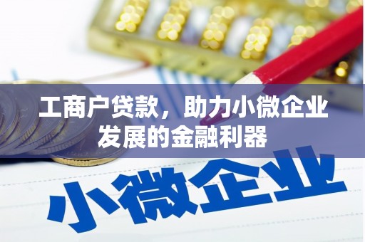 德保工商户贷款，助力小微企业发展的金融利器