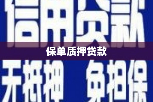 德保保单质押贷款