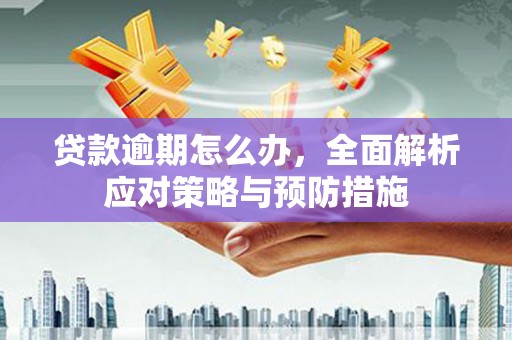 德保贷款逾期怎么办，全面解析应对策略与预防措施