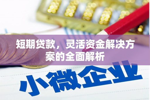 德保短期贷款，灵活资金解决方案的全面解析