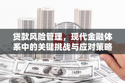 德保贷款风险管理，现代金融体系中的关键挑战与应对策略