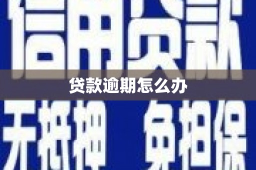德保贷款逾期怎么办