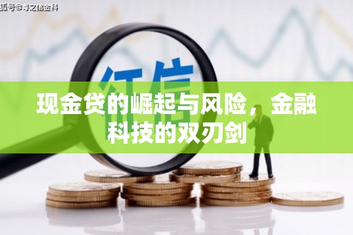 德保现金贷的崛起与风险，金融科技的双刃剑