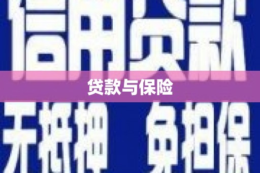 德保贷款与保险