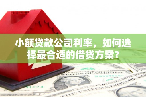 德保小额贷款公司利率，如何选择最合适的借贷方案？