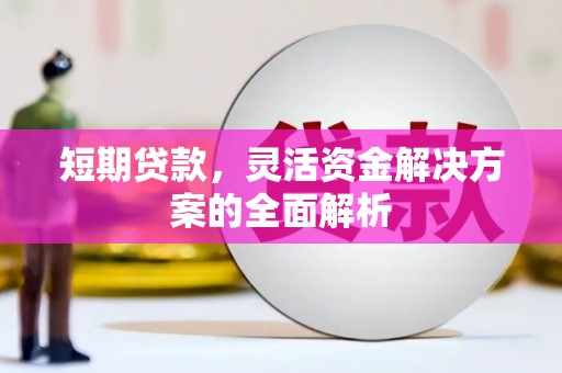 德保短期贷款，灵活资金解决方案的全面解析