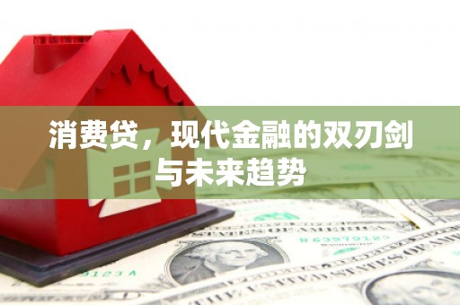 德保消费贷，现代金融的双刃剑与未来趋势