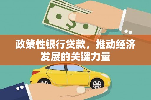 德保政策性银行贷款，推动经济发展的关键力量