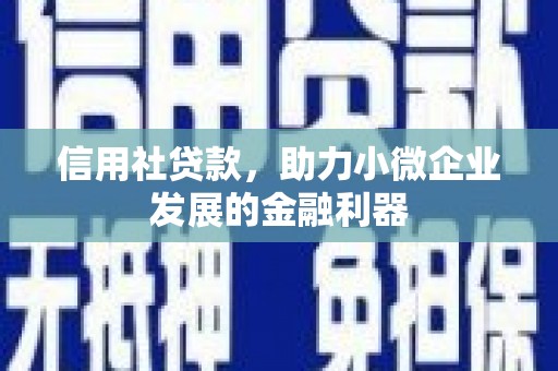 德保信用社贷款，助力小微企业发展的金融利器