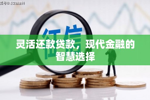 德保灵活还款贷款，现代金融的智慧选择