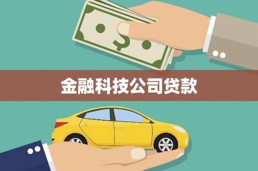 德保金融科技公司贷款