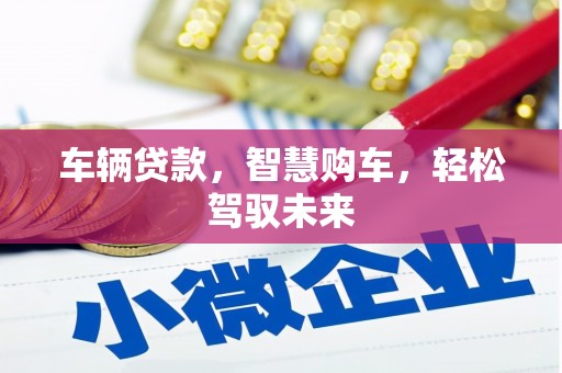德保车辆贷款，智慧购车，轻松驾驭未来