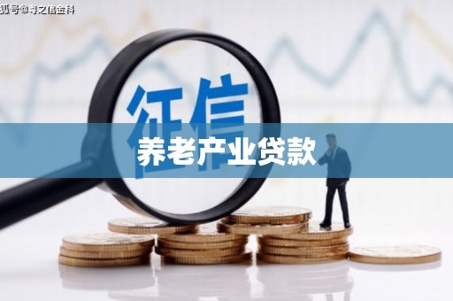 德保养老产业贷款