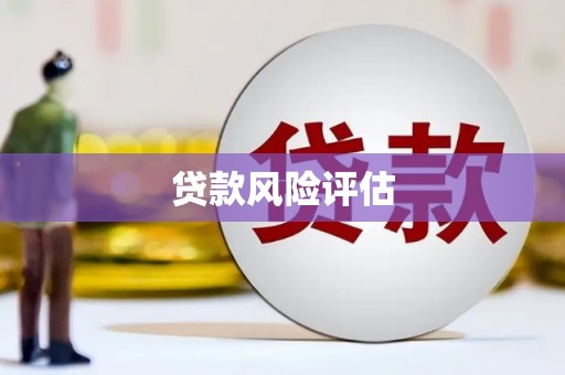 德保贷款风险评估