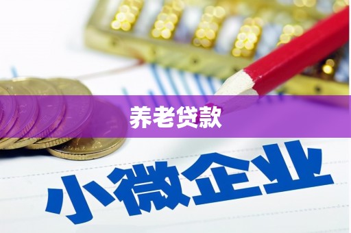 德保养老贷款