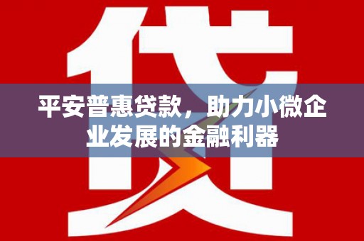 德保平安普惠贷款，助力小微企业发展的金融利器