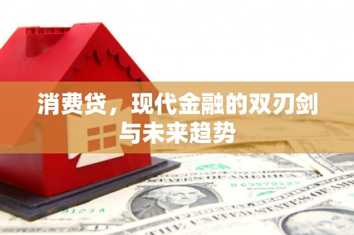 德保消费贷，现代金融的双刃剑与未来趋势