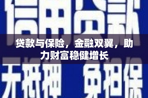 德保贷款与保险，金融双翼，助力财富稳健增长
