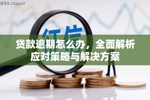 德保贷款逾期怎么办，全面解析应对策略与解决方案