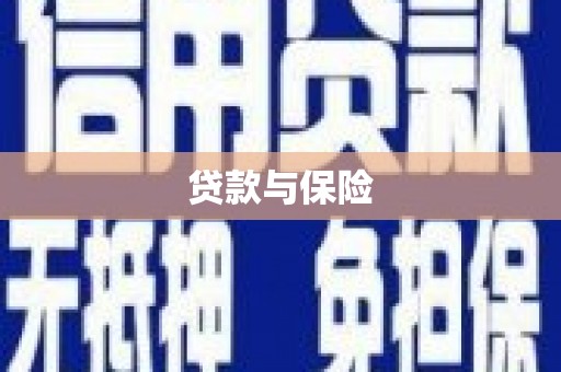 德保贷款与保险