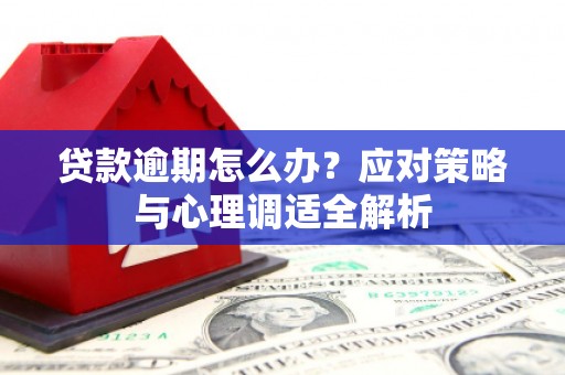 德保贷款逾期怎么办？应对策略与心理调适全解析