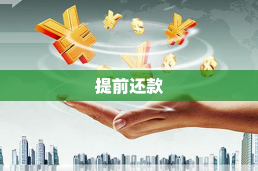 德保提前还款
